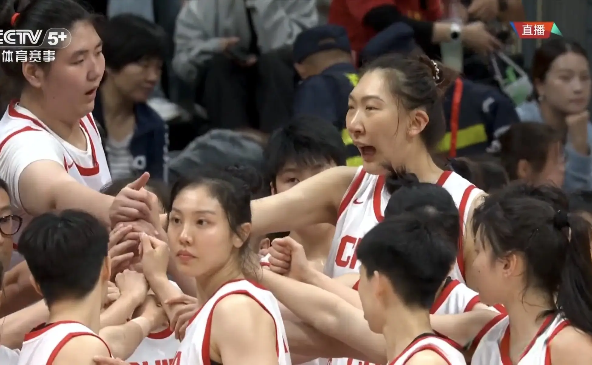 按照名次排, 女篮之外, msn